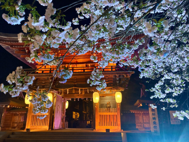 伊佐須美神社ライトアップ