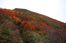 磐梯山山頂付近の色付き